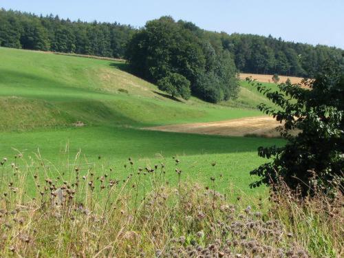 Landgasthof Zur Post Heiligenberg Phòng bức ảnh